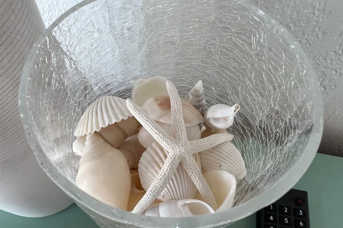 0b17d536deb64177a3203ab4f8c2ca36 LargeOriginal.jpg