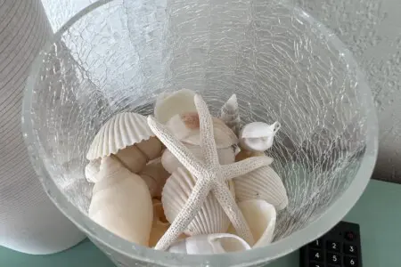 0b17d536deb64177a3203ab4f8c2ca36 LargeOriginal.jpg