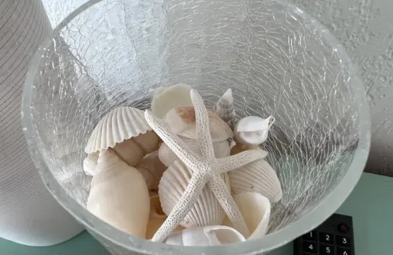 0b17d536deb64177a3203ab4f8c2ca36 LargeOriginal.jpg