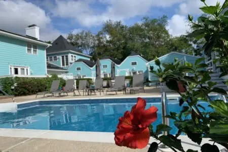 0d2efc554ec24b47a6ff1de61d9f930d LargeOriginal.jpg