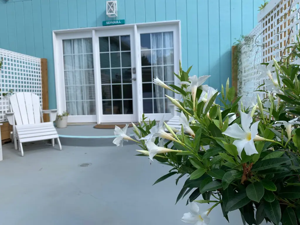 3ca903d843f14f8495e50b273e31d364 LargeOriginal.jpg