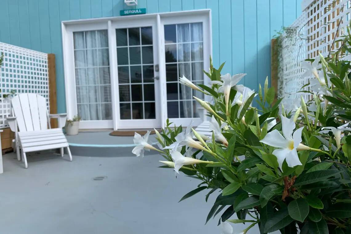 3ca903d843f14f8495e50b273e31d364 LargeOriginal.jpg