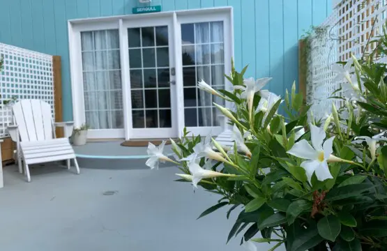 3ca903d843f14f8495e50b273e31d364 LargeOriginal.jpg