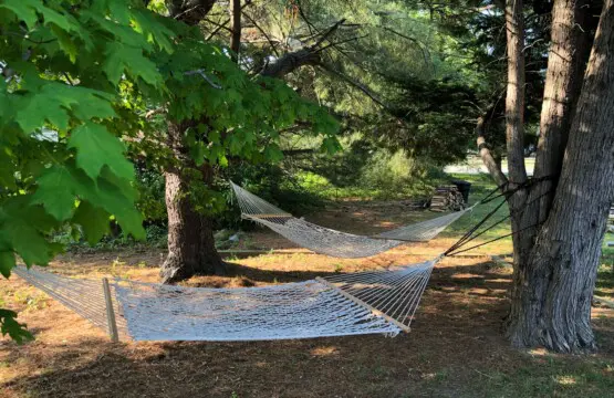 6a6310110e3341b0826c27c32596a9ce LargeOriginal.jpg