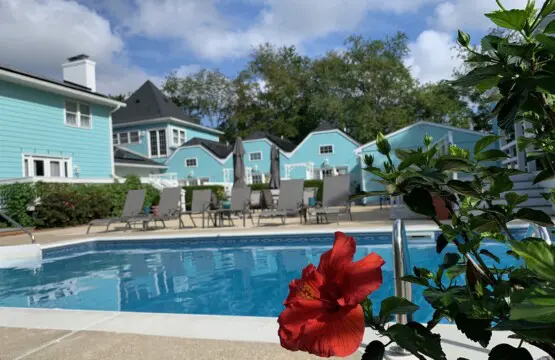 9035dc85b003473c8a4fc7d085e098ff LargeOriginal.jpg