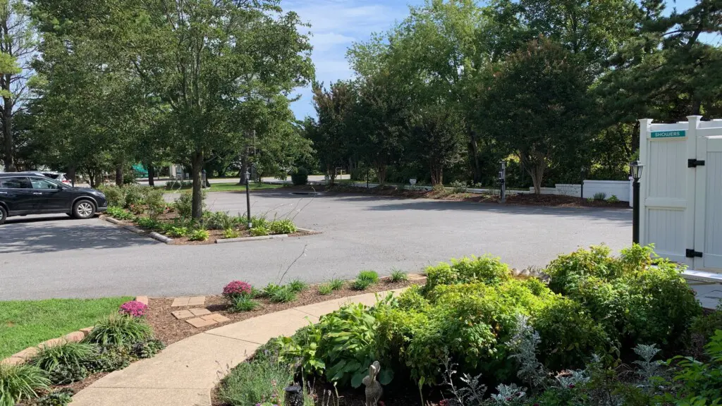 92cd9d0fc86d4700929c3b859b8d16e9 LargeOriginal.jpg