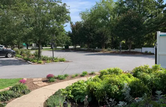 92cd9d0fc86d4700929c3b859b8d16e9 LargeOriginal.jpg