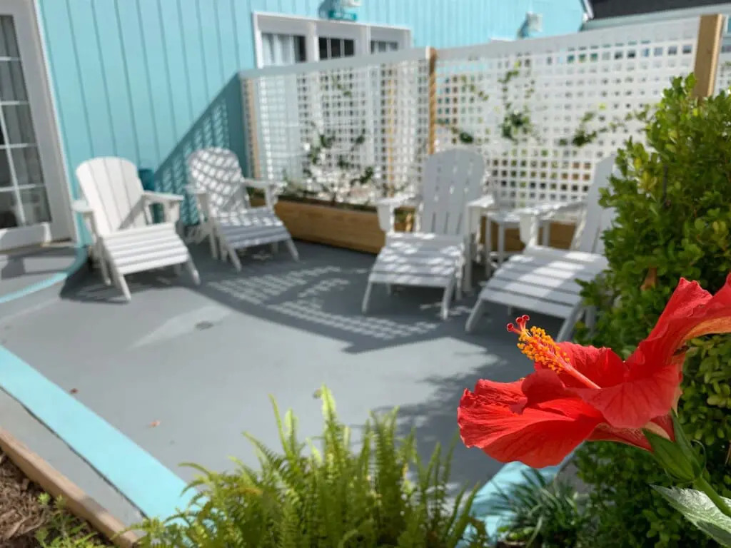 b1e41941b8fd40d8a95a5d6a583e4b20 LargeOriginal.jpg