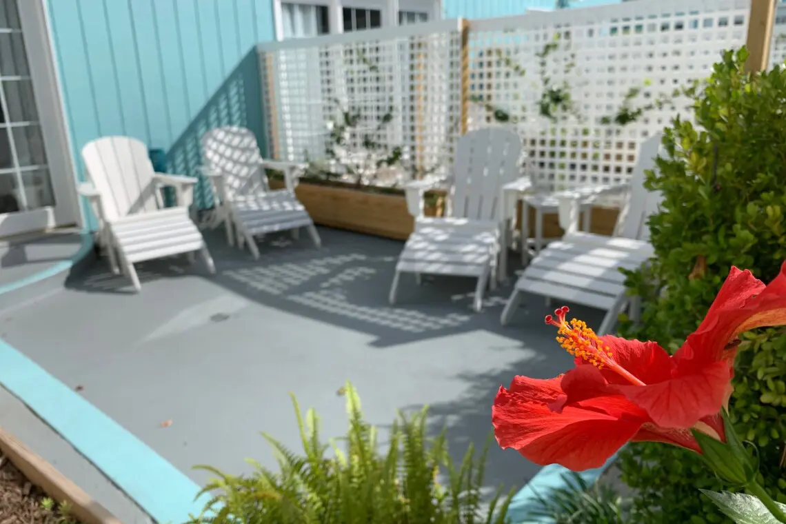 b1e41941b8fd40d8a95a5d6a583e4b20 LargeOriginal.jpg