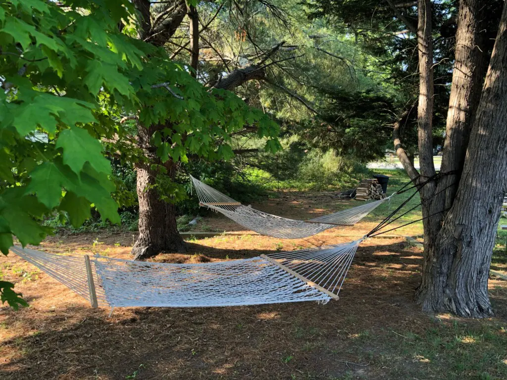 bc8aa79ae8424f7887540174e3b593c5 LargeOriginal.jpg