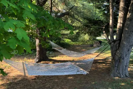 bc8aa79ae8424f7887540174e3b593c5 LargeOriginal.jpg