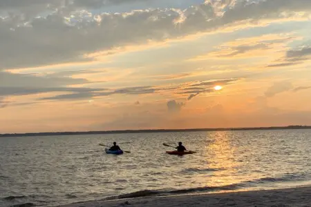 fc8d477032e14044a0727550732f2378 LargeOriginal.jpg