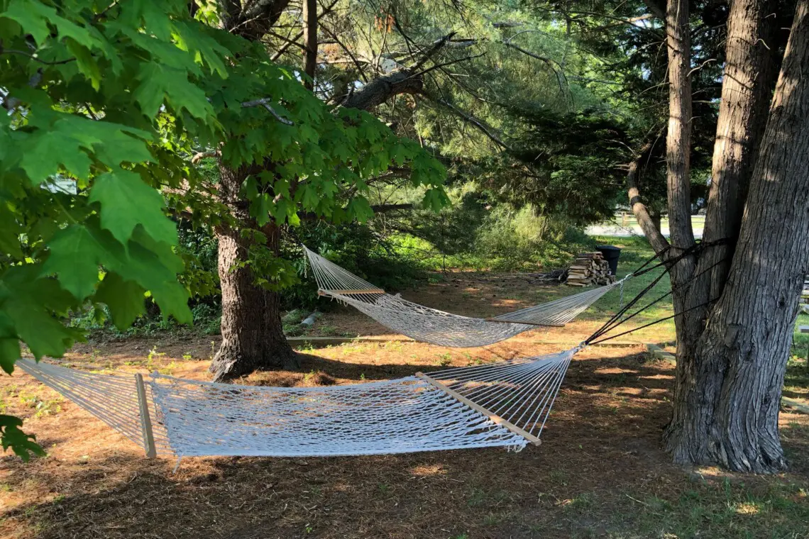 ff06470fb190438382cd321d9bd53382 LargeOriginal.jpg