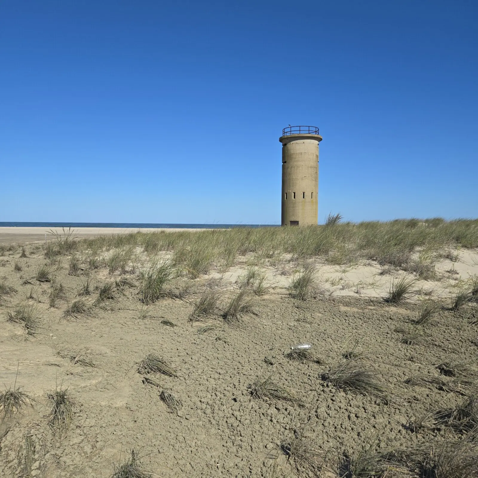 lewes delaware gordons pond beach