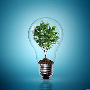 energy efficiency 300x300